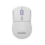 WIRELESS OPTICAL MOUSE