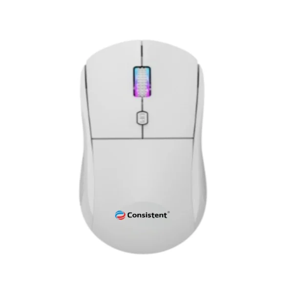 WIRELESS OPTICAL MOUSE