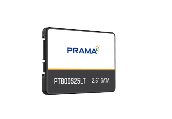256GB 2.5" SATA III Internal Solid State Drive
