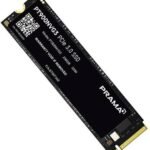 PT900NVG3-256GB NVMe M.2 2280 Internal Solid State Drive