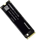 PT900NVG3-256GB NVMe M.2 2280 Internal Solid State Drive