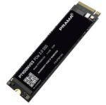 PT900NVG3 512GB NVMe M.2 2280 Internal Solid State Drive